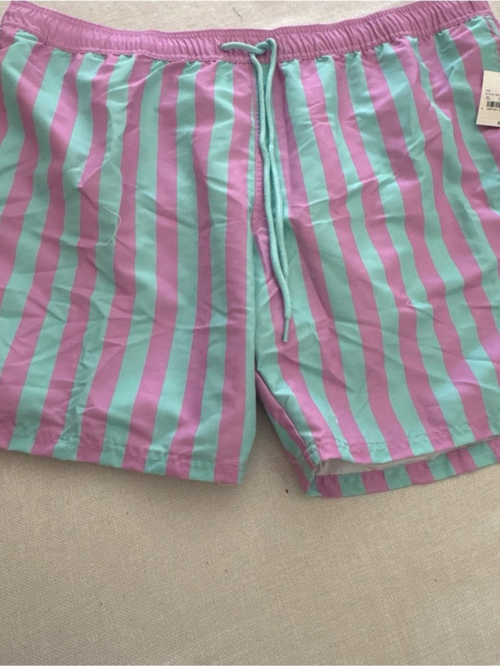 Target Men's Striped Swim Shorts in Mint Green and Lavender